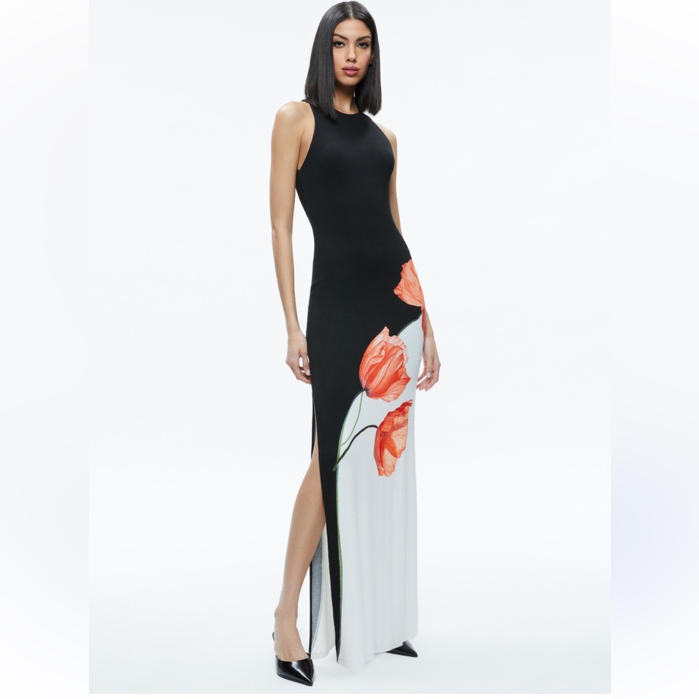 Alice + Olivia Pania Maxi Dress